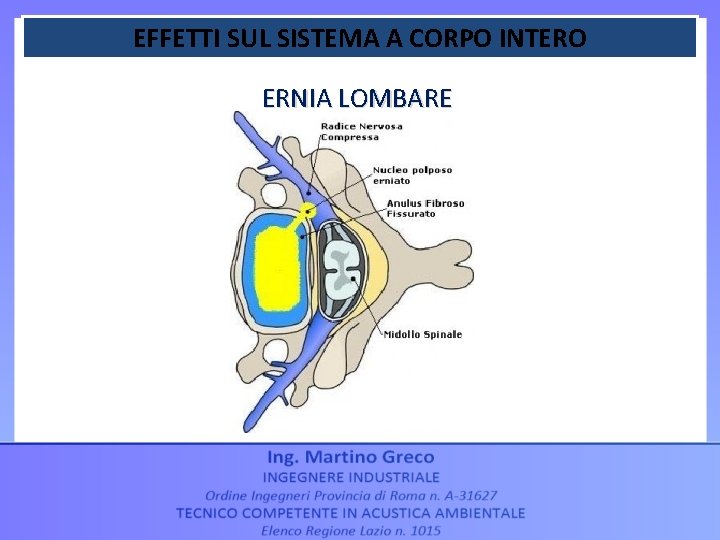 EFFETTI SUL SISTEMA A CORPO INTERO ERNIA LOMBARE EFFETTI SUL SISTEMA A CORPO INTERO ERNIA LOMBARE