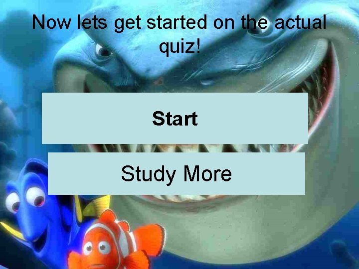 Now lets get started on the actual quiz! Start Study More 