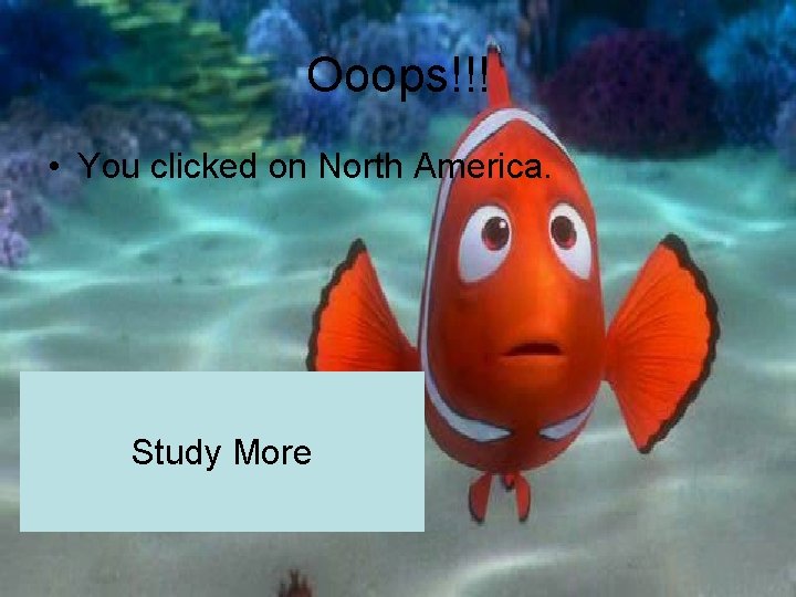 Ooops!!! • You clicked on North America. Study More 