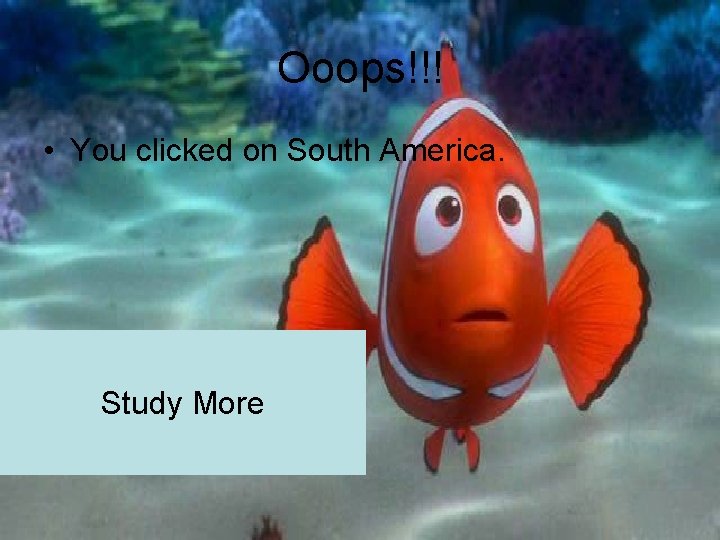 Ooops!!! • You clicked on South America. Study More 