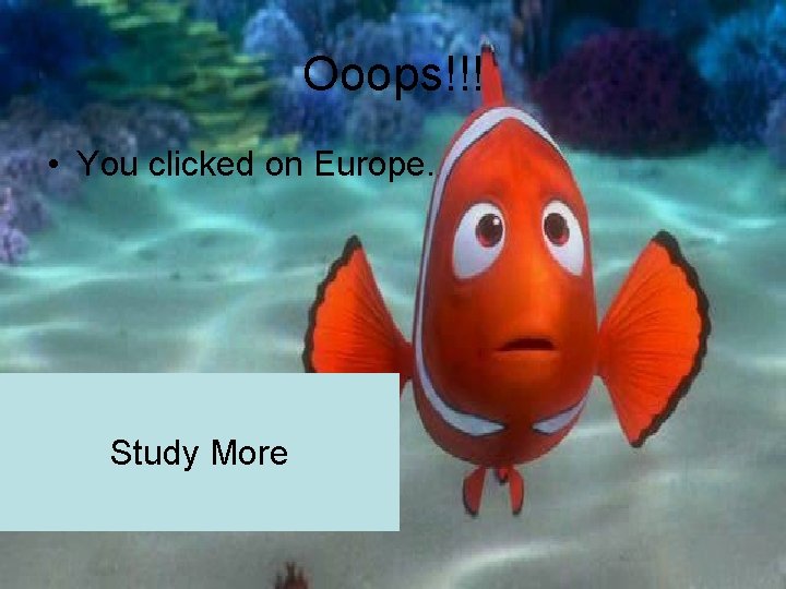 Ooops!!! • You clicked on Europe. Study More 