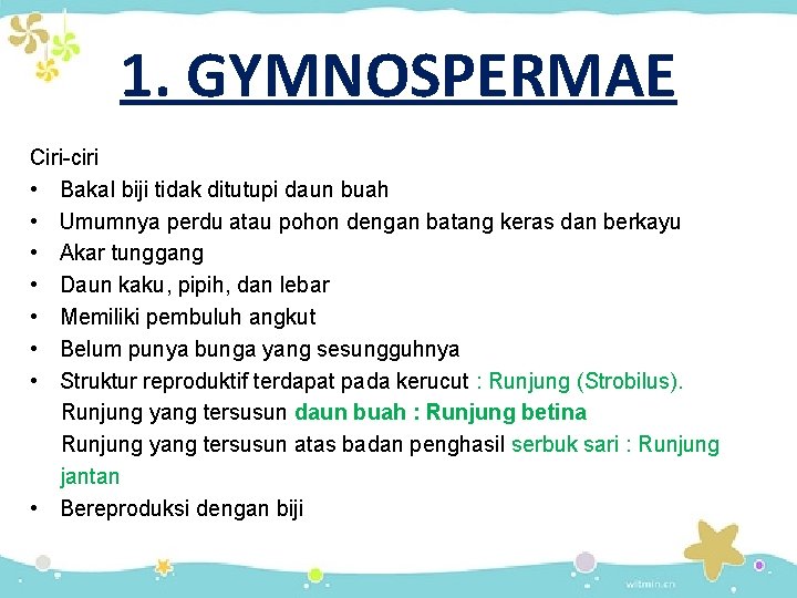 1. GYMNOSPERMAE Ciri-ciri • Bakal biji tidak ditutupi daun buah • Umumnya perdu atau