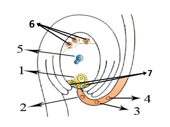 6 7 