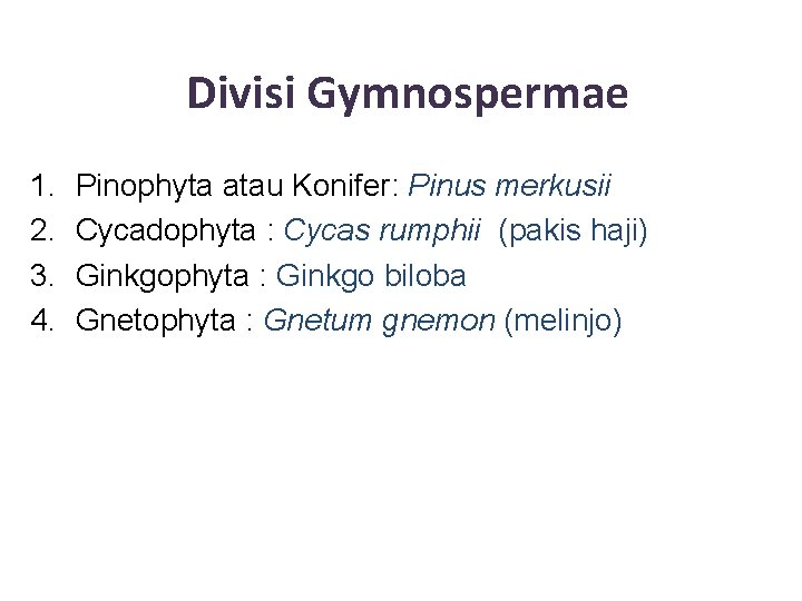 Divisi Gymnospermae 1. 2. 3. 4. Pinophyta atau Konifer: Pinus merkusii Cycadophyta : Cycas