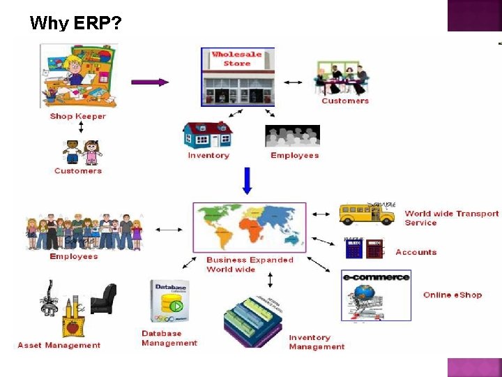 Why ERP? 