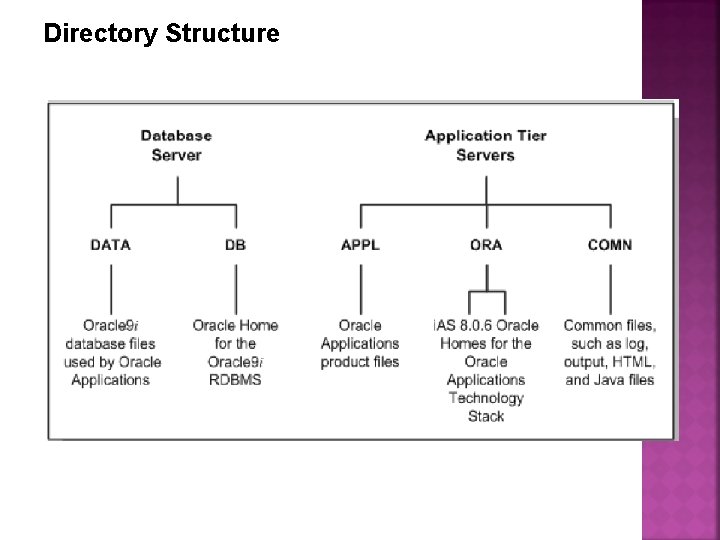 Directory Structure 
