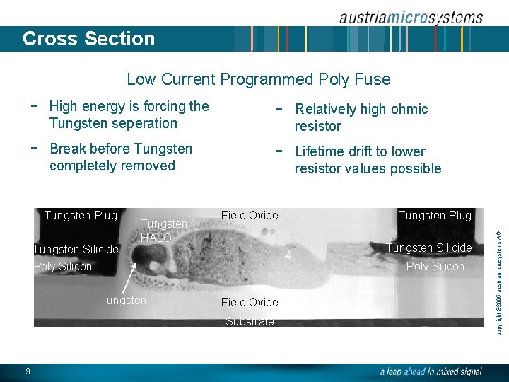 Cross Section Low Current Programmed Poly Fuse - High energy is forcing the Tungsten