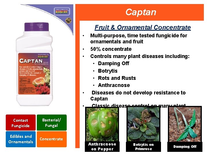 Captan Fruit & Ornamental Concentrate • • • Contact Fungicide Bacterial/ Fungal Edibles and