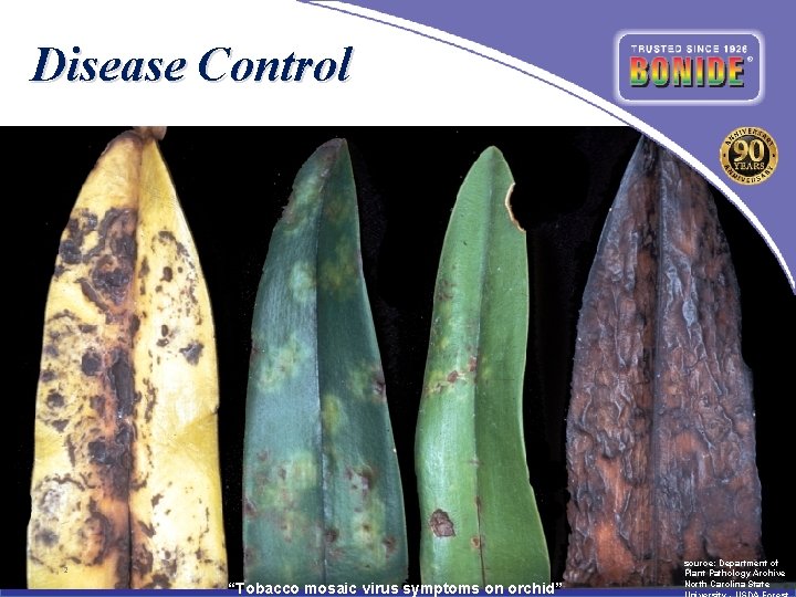 Disease Control 2 “Tobacco mosaic virus symptoms on orchid” source: Department of Plant Pathology