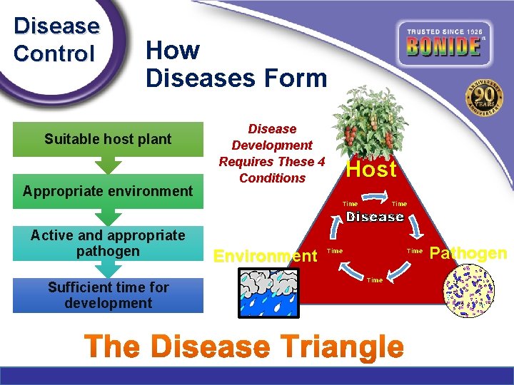 Disease Control How Diseases Form Suitable host plant Appropriate environment Disease Development Requires These