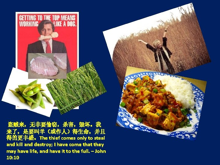 盗贼来，无非要偷窃，杀害，毁坏。我 来了，是要叫羊（或作人）得生命，并且 得的更丰盛。The thief comes only to steal and kill and destroy; I have