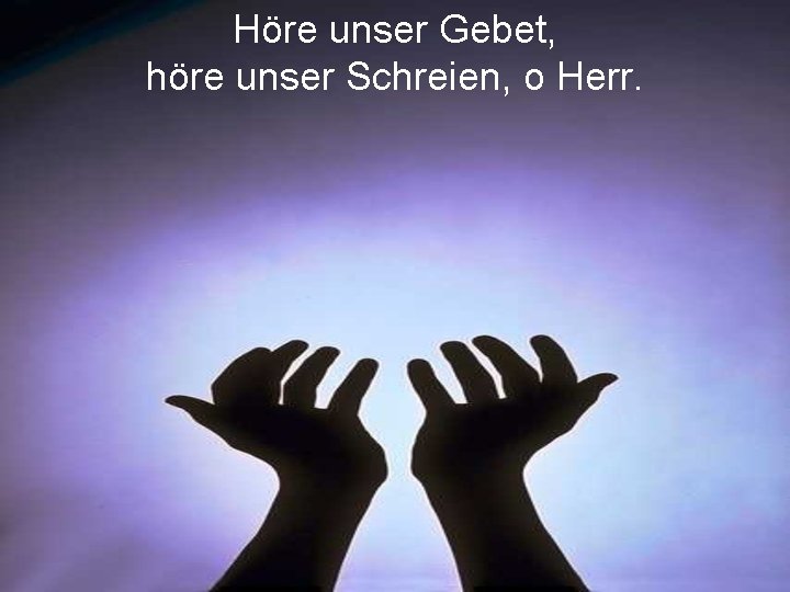 Höre unser Gebet, höre unser Schreien, o Herr. 