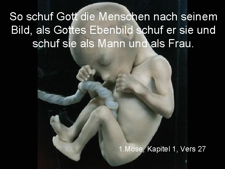 So schuf Gott die Menschen nach seinem Bild, als Gottes Ebenbild schuf er sie