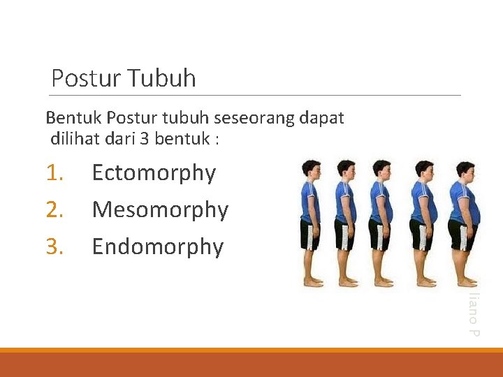 Postur Tubuh Bentuk Postur tubuh seseorang dapat dilihat dari 3 bentuk : Ectomorphy Mesomorphy