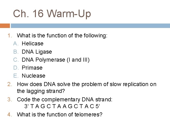 Ch. 16 Warm-Up 1. What is the function of the following: A. Helicase B.