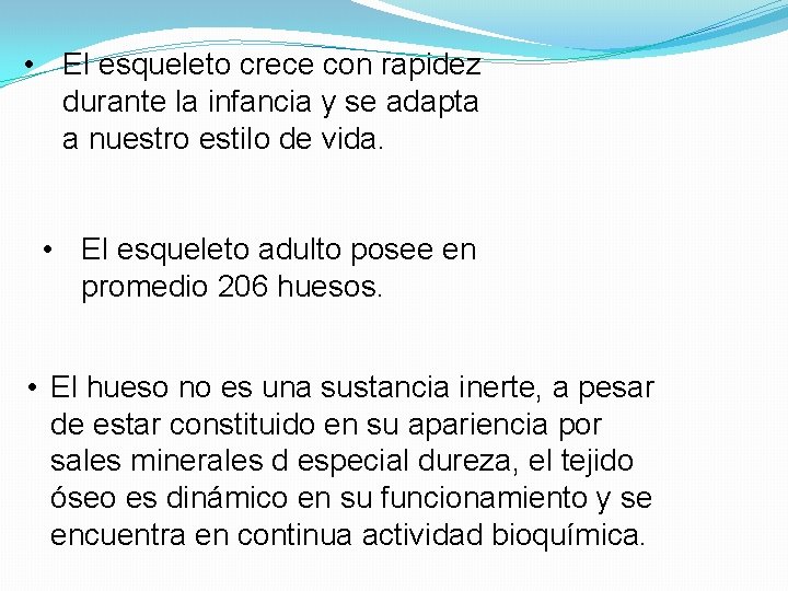  • El esqueleto crece con rapidez durante la infancia y se adapta a