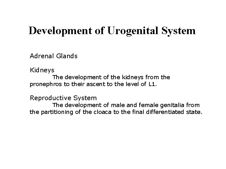 Development of Urogenital System Adrenal Glands Kidneys The development of the kidneys from the