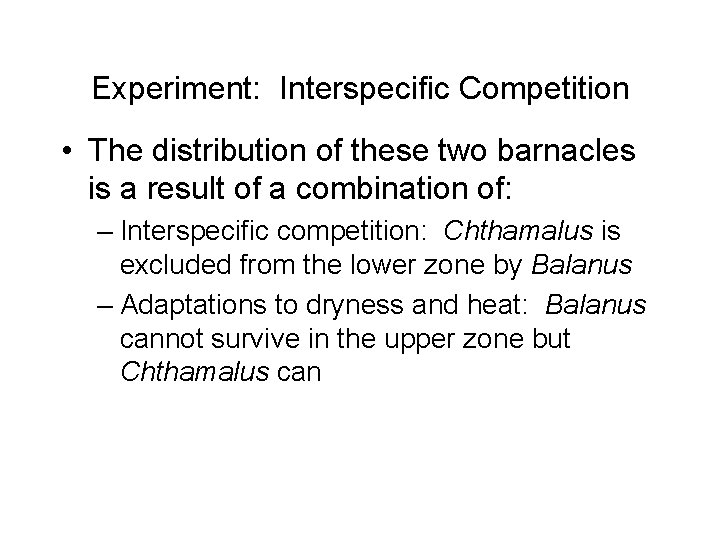 Experiment: Interspecific Competition • The distribution of these two barnacles is a result of