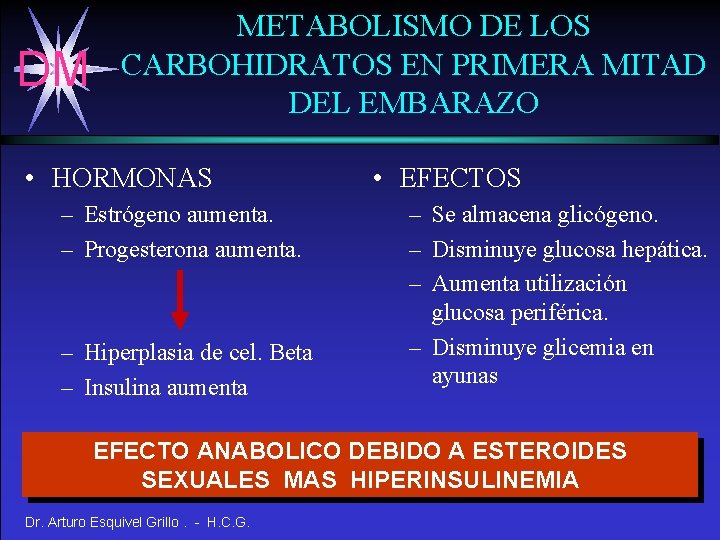 DM METABOLISMO DE LOS CARBOHIDRATOS EN PRIMERA MITAD DEL EMBARAZO • HORMONAS – Estrógeno