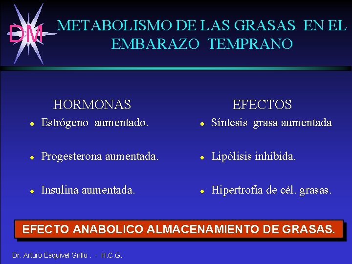 DM METABOLISMO DE LAS GRASAS EN EL EMBARAZO TEMPRANO EFECTOS HORMONAS l Estrógeno aumentado.