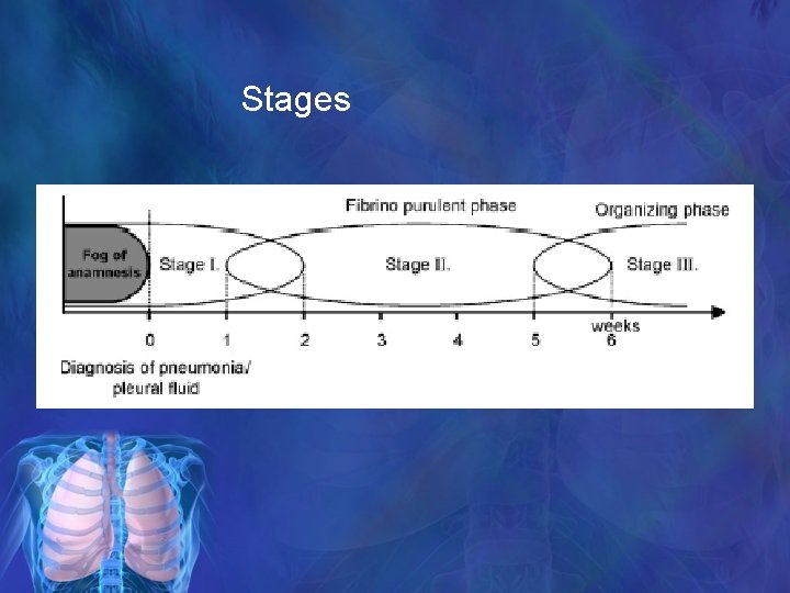 Stages 