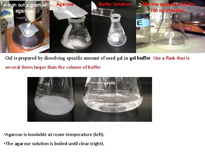 1 -Weigh out a gram of agarose. Agarose Buffer Solution 2 -Mix the agarose 1 -Weigh out a gram of agarose. Agarose Buffer Solution 2 -Mix the agarose