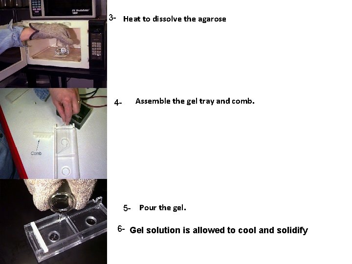3 - Heat to dissolve the agarose. 4 - Assemble the gel tray and 3 - Heat to dissolve the agarose. 4 - Assemble the gel tray and