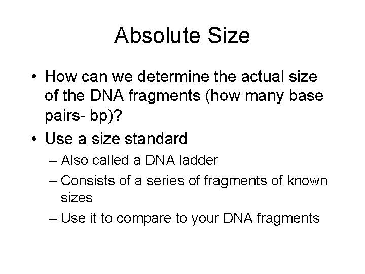Absolute Size • How can we determine the actual size of the DNA fragments Absolute Size • How can we determine the actual size of the DNA fragments