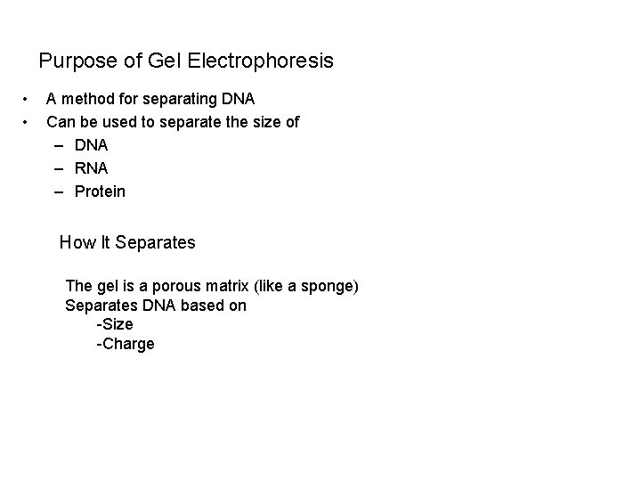 Purpose of Gel Electrophoresis • • A method for separating DNA Can be used Purpose of Gel Electrophoresis • • A method for separating DNA Can be used