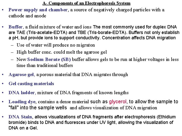 A- Components of an Electrophoresis System • Power supply and chamber, a source of A- Components of an Electrophoresis System • Power supply and chamber, a source of