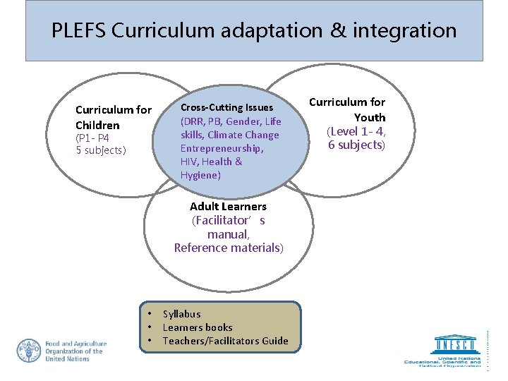 PLEFS Curriculum adaptation & integration Curriculum for Children (P 1 - P 4 5