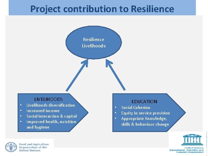 Project contribution to Resilience Livelihoods • • LIVELIHOODS Livelihoods diversification Increased income Social interaction