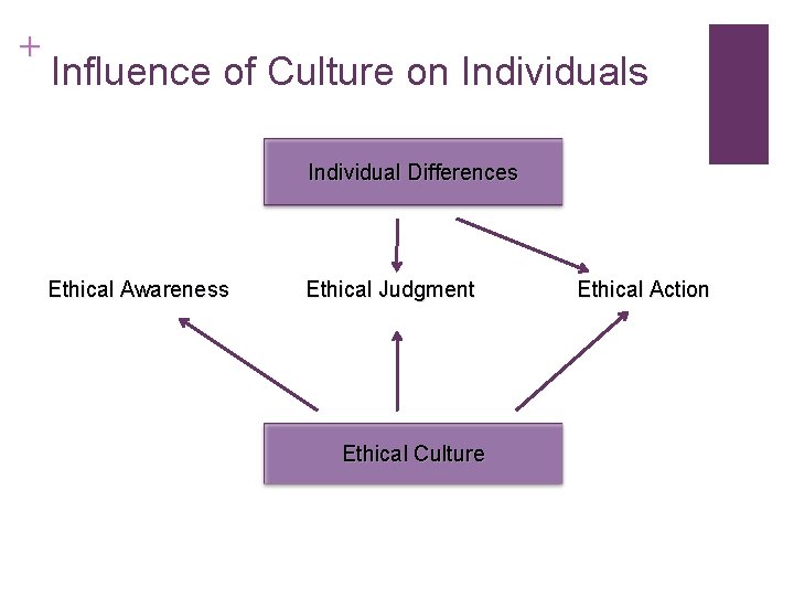 + Influence of Culture on Individuals Individual Differences Ethical Awareness Ethical Judgment Ethical Culture