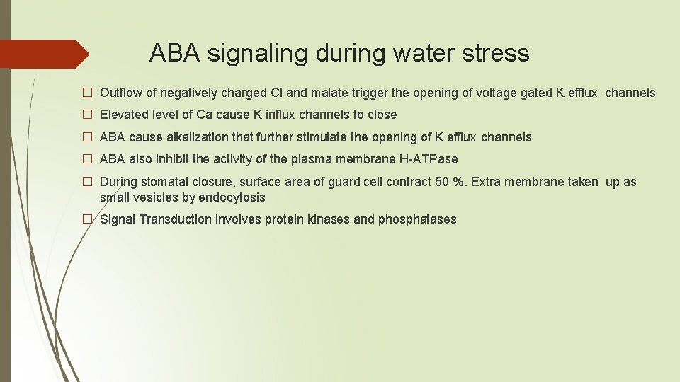 ABA signaling during water stress � Outflow of negatively charged Cl and malate trigger