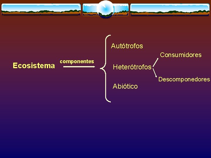 Autótrofos Ecosistema componentes Consumidores Heterótrofos Abiótico Descomponedores 
