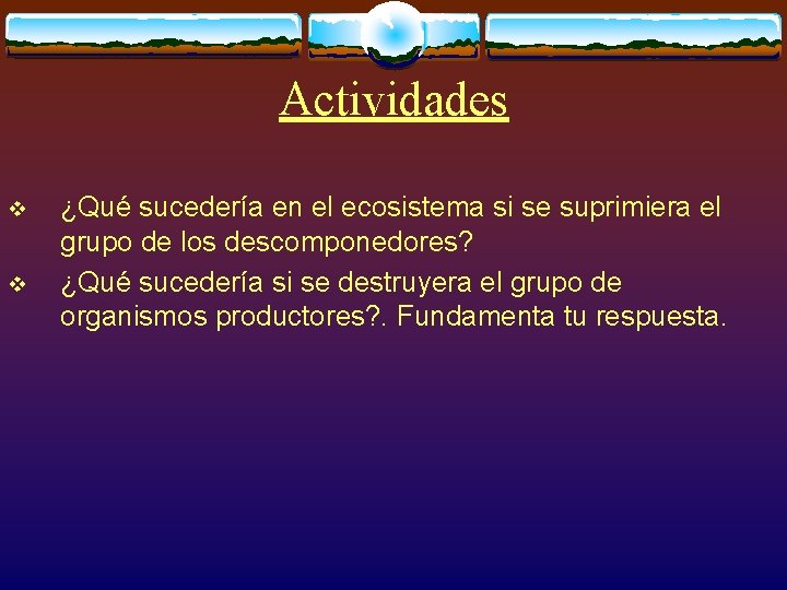 Actividades v v ¿Qué sucedería en el ecosistema si se suprimiera el grupo de