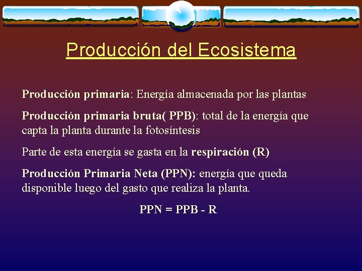 Producción del Ecosistema Producción primaria: Energía almacenada por las plantas Producción primaria bruta( PPB):