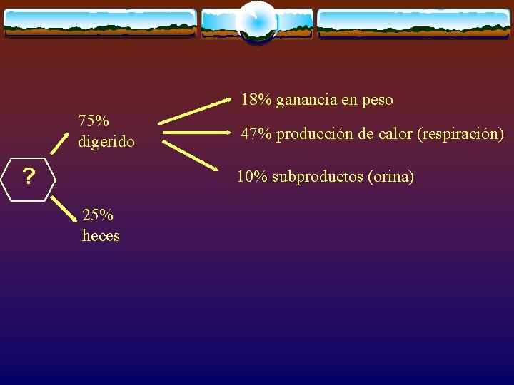 18% ganancia en peso 75% digerido ? 47% producción de calor (respiración) 10% subproductos