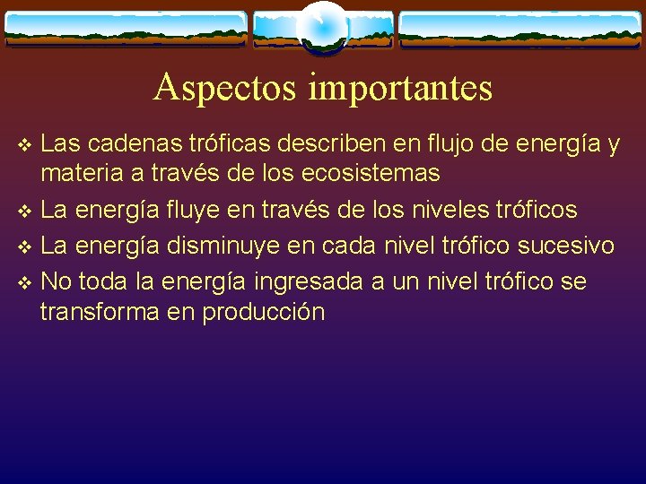 Aspectos importantes Las cadenas tróficas describen en flujo de energía y materia a través