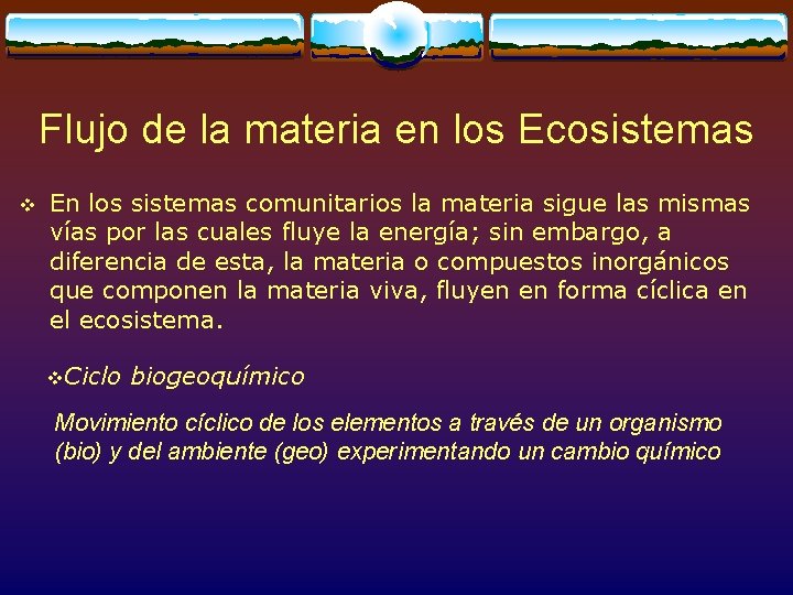 Flujo de la materia en los Ecosistemas v En los sistemas comunitarios la materia