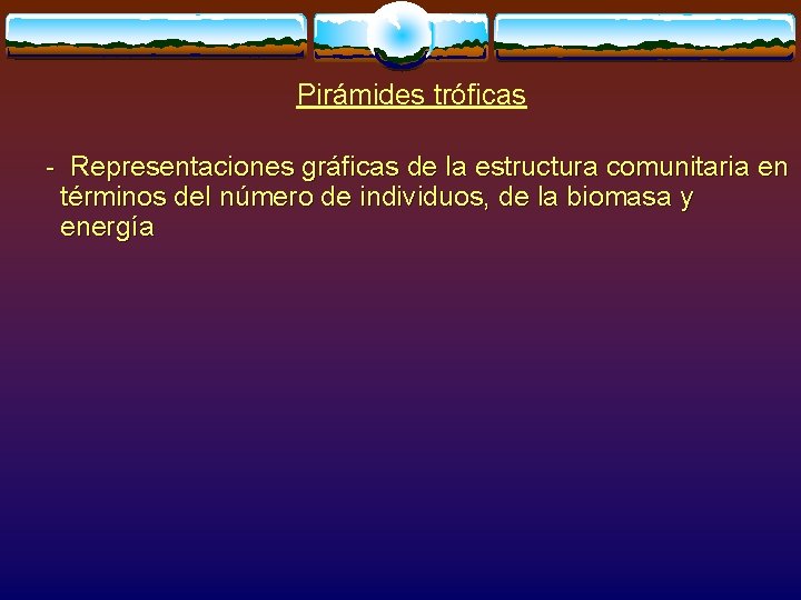 Pirámides tróficas - Representaciones gráficas de la estructura comunitaria en términos del número de