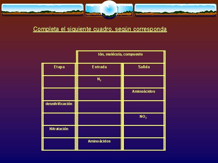 Completa el siguiente cuadro, según corresponda Ión, molécula, compuesto Etapa Entrada Salida N 2