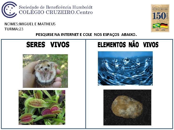 NOMES: MIGUEL E MATHEUS TURMA: 23 PESQUISE NA INTERNET E COLE NOS ESPAÇOS ABAIXO.