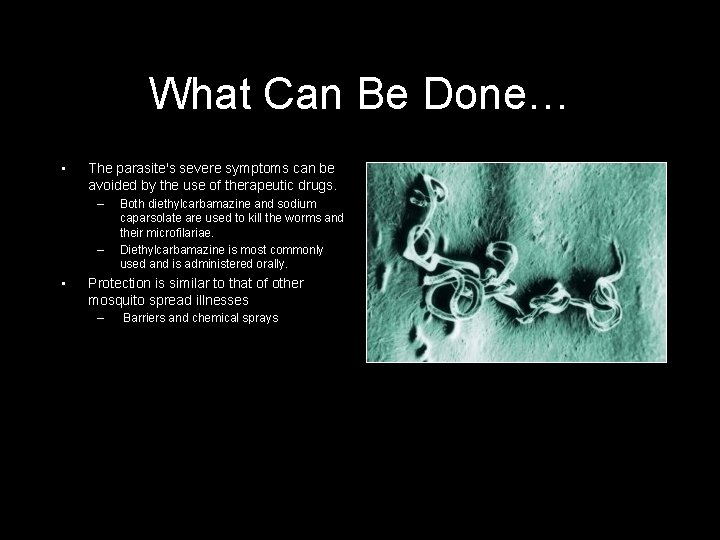 What Can Be Done… • The parasite's severe symptoms can be avoided by the