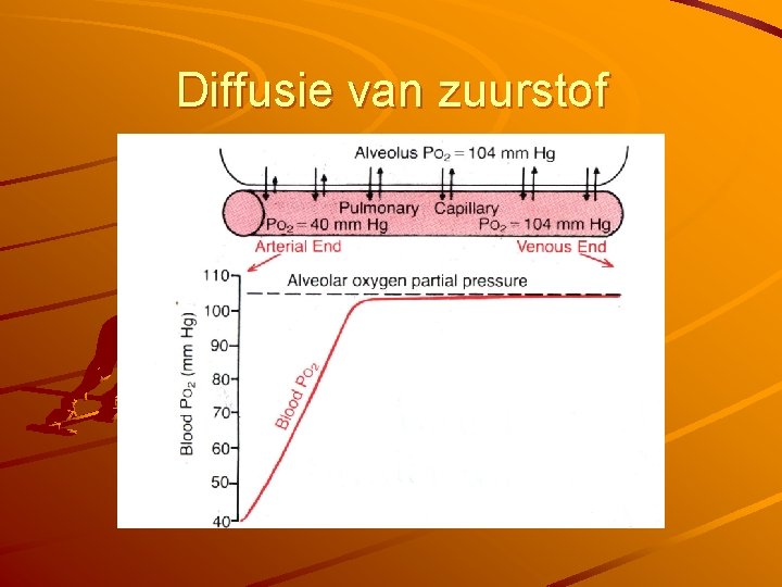 Diffusie van zuurstof 