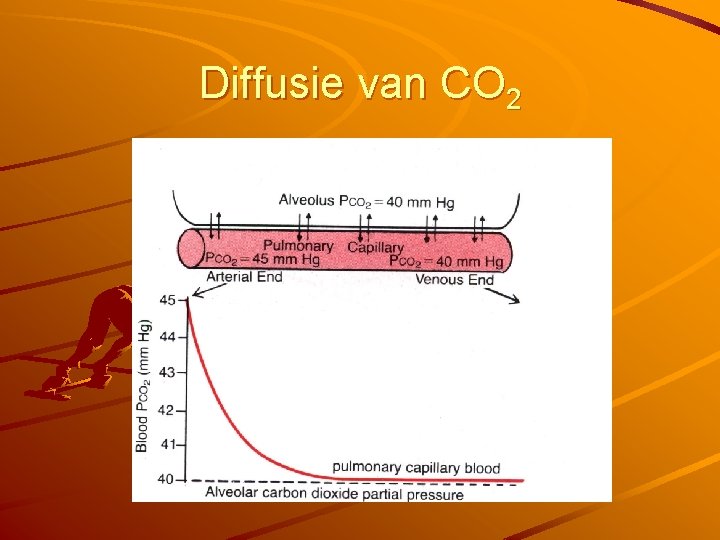 Diffusie van CO 2 