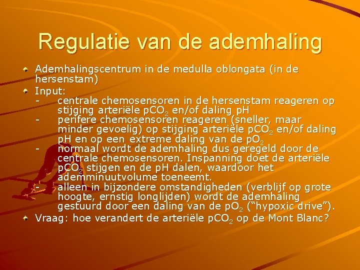 Regulatie van de ademhaling Ademhalingscentrum in de medulla oblongata (in de hersenstam) Input: centrale