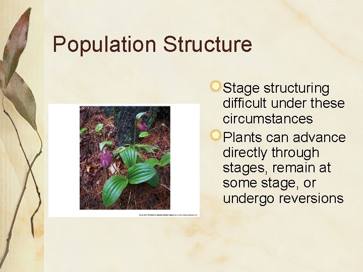 Population Structure Stage structuring difficult under these circumstances Plants can advance directly through stages,