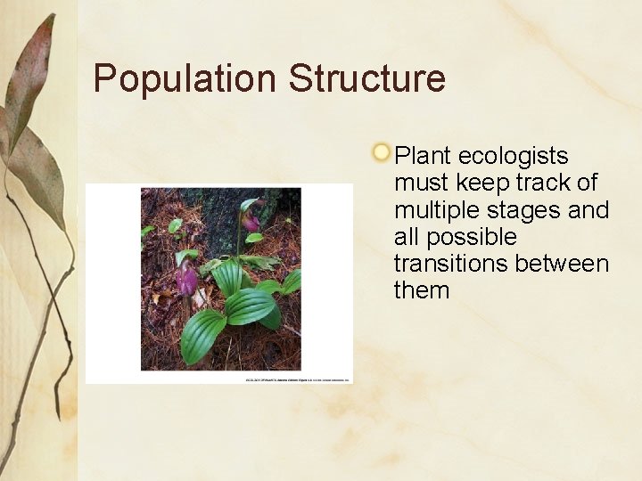 Population Structure Plant ecologists must keep track of multiple stages and all possible transitions
