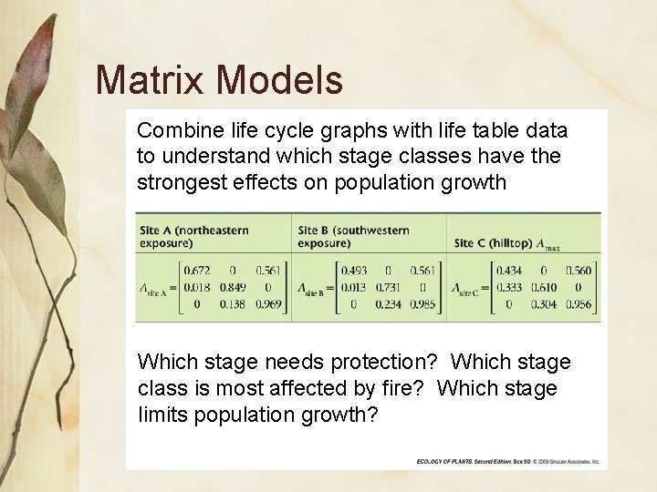 Matrix Models Combine life cycle graphs with life table data to understand which stage